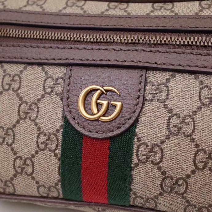 Поясная сумка Gucci Ophidia 24 cm