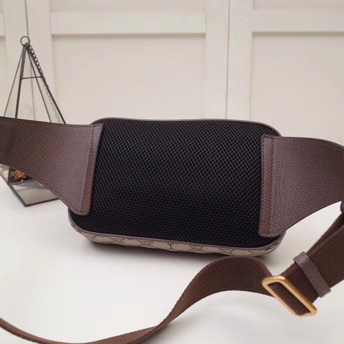 Поясная сумка Gucci Ophidia 24 cm