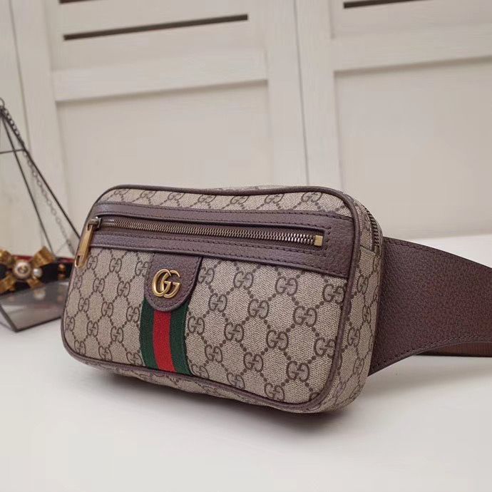 Поясная сумка Gucci Ophidia 24 cm