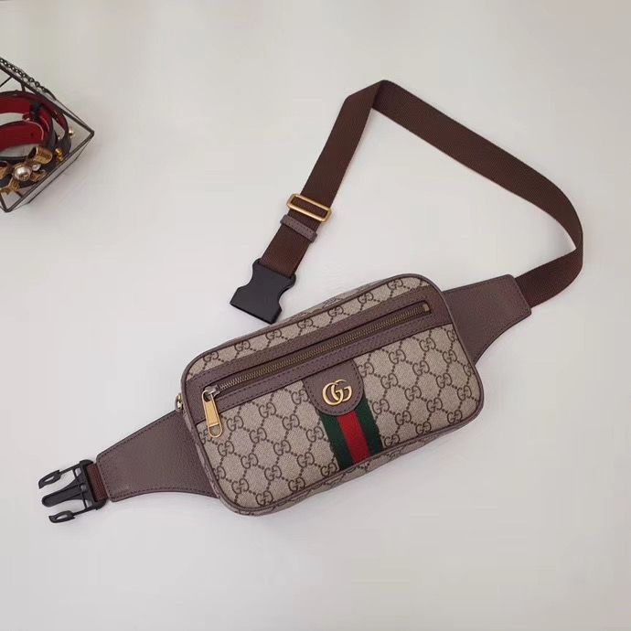 Поясная сумка Gucci Ophidia 24 cm