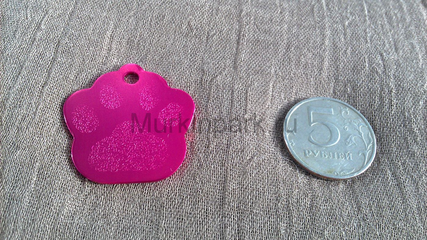 Адресник 3,5см лапа