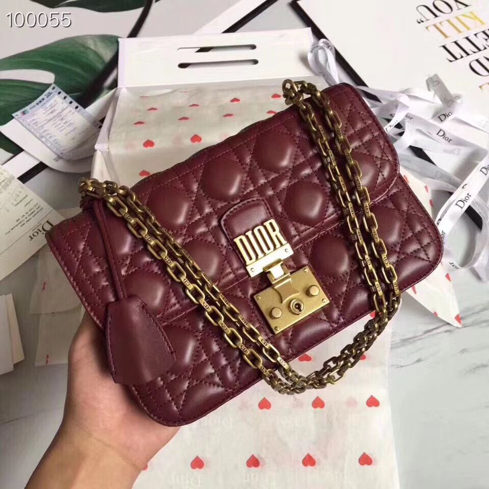 Dior Addict 21 cm