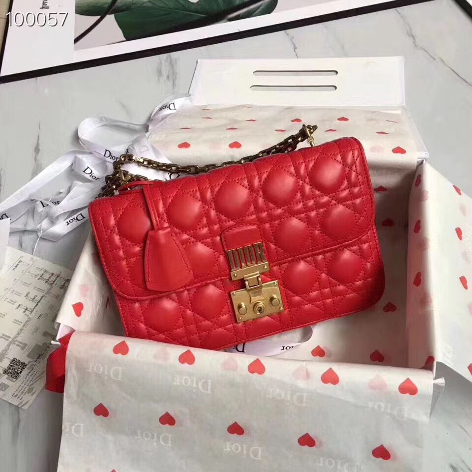 Dior Addict 21 cm