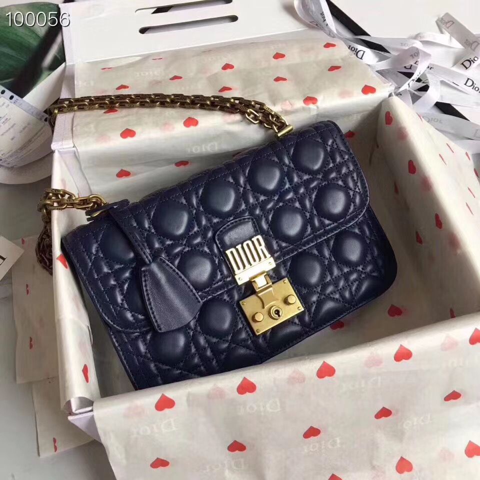 Dior Addict 21 cm