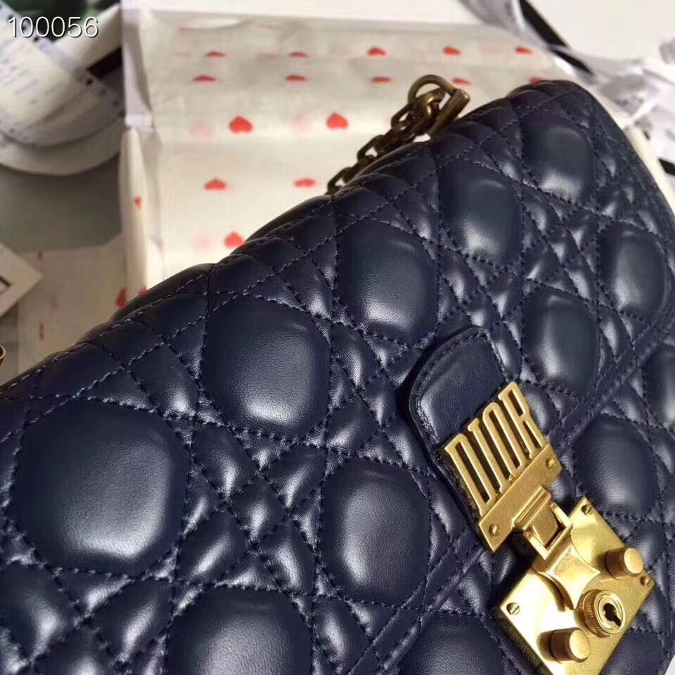 Dior Addict 21 cm