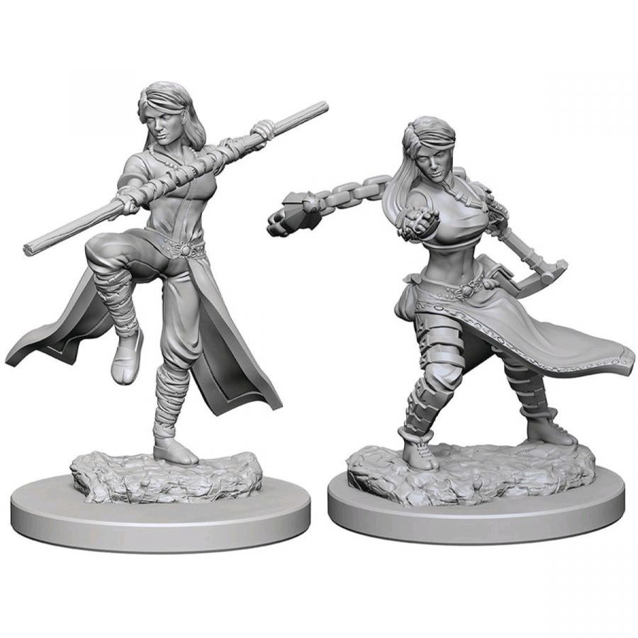 D&D Miniatures - Human Female Monk