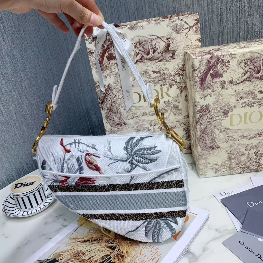 Dior Saddle Bag 25,5 cm