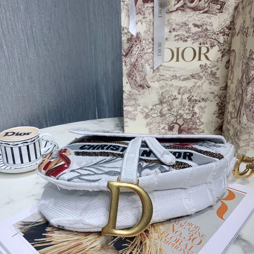 Dior Saddle Bag 25,5 cm