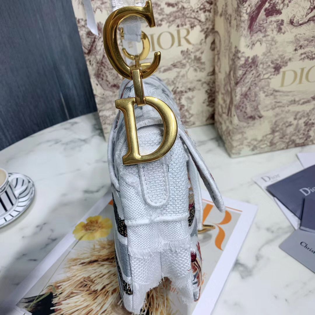 Dior Saddle Bag 25,5 cm