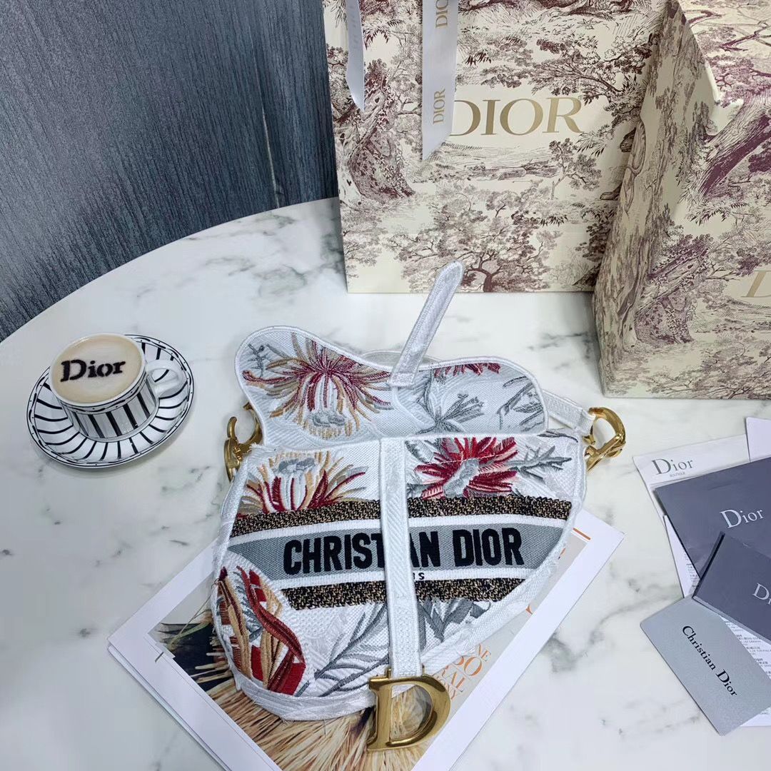 Dior Saddle Bag 25,5 cm