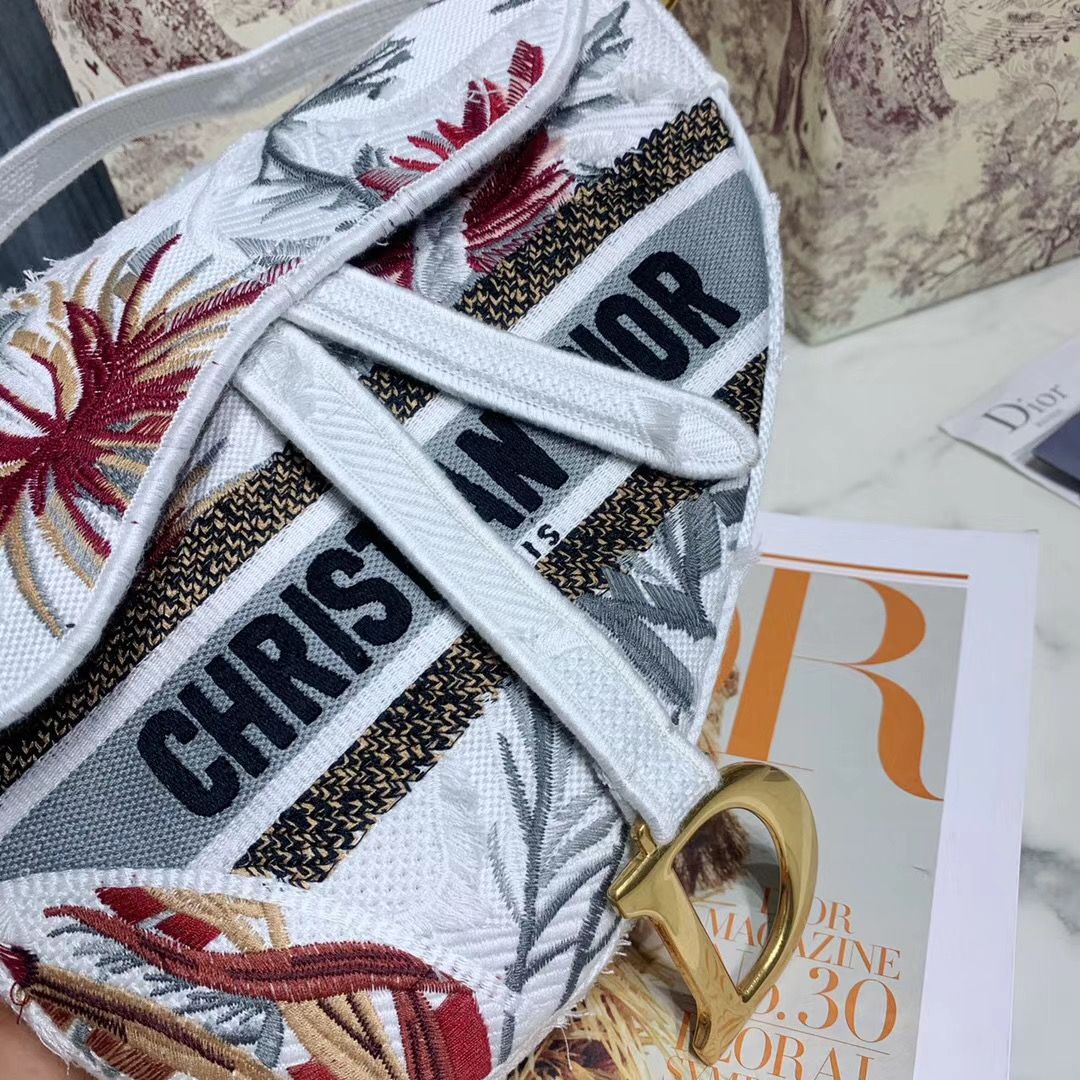Dior Saddle Bag 25,5 cm