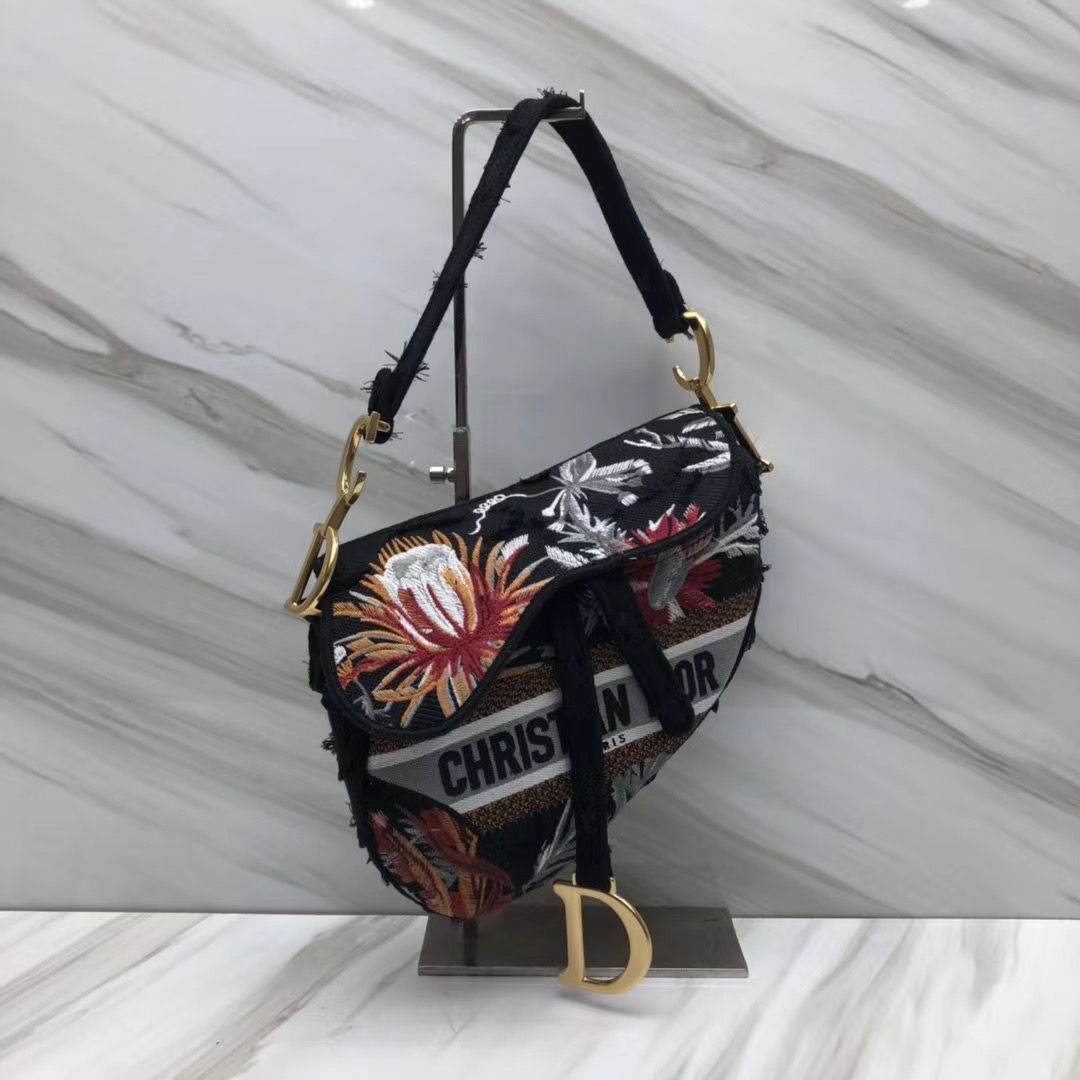 Dior Saddle Bag 25,5 cm