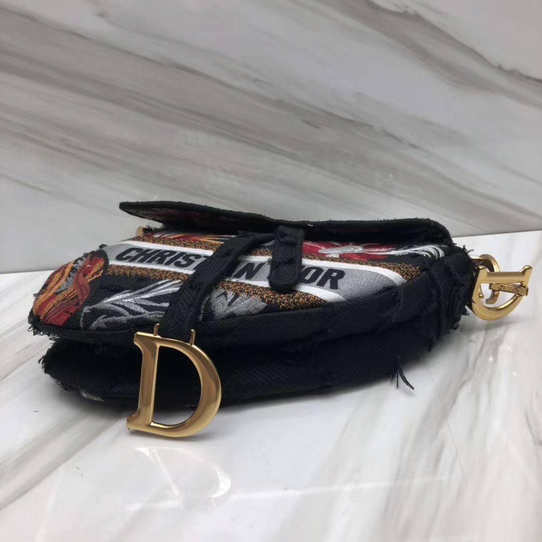 Dior Saddle Bag 25,5 cm