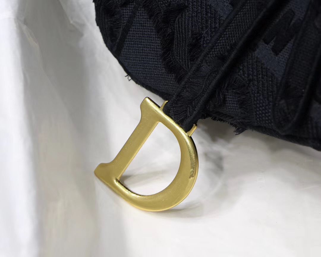 Dior Saddle Bag 25,5 cm