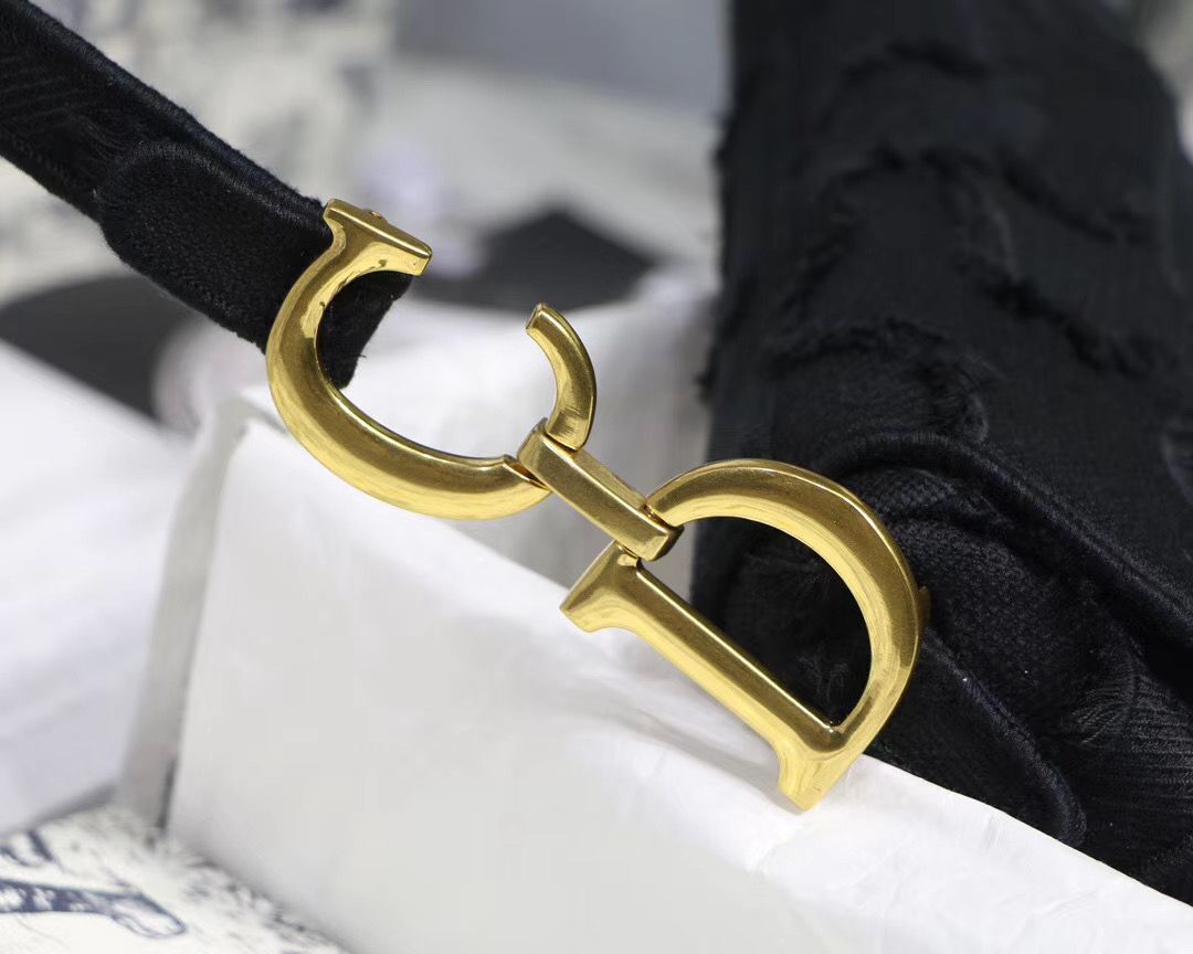 Dior Saddle Bag 25,5 cm