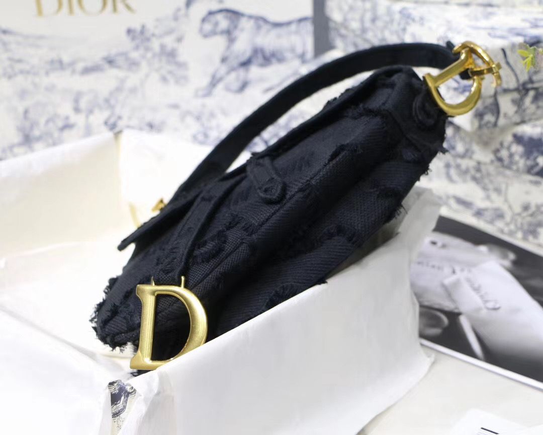 Dior Saddle Bag 25,5 cm