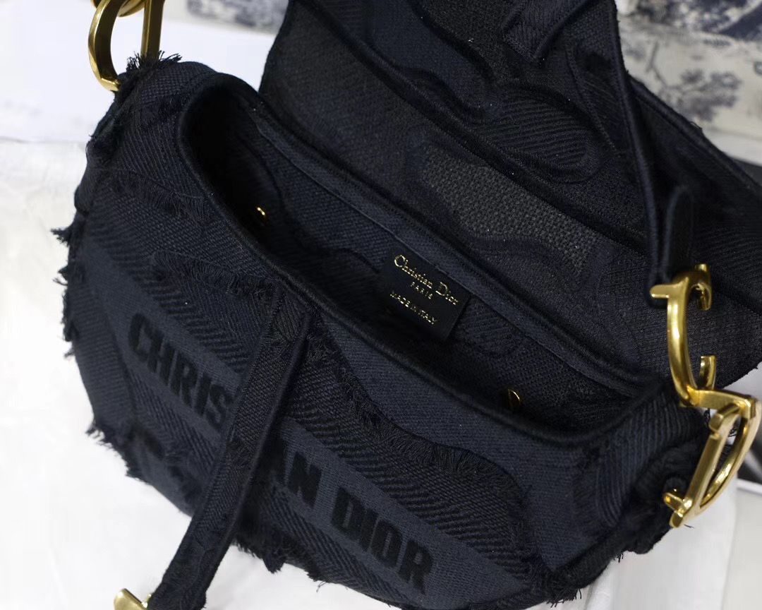 Dior Saddle Bag 25,5 cm