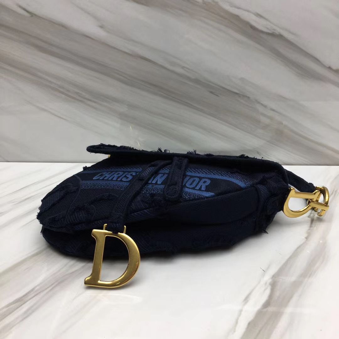 Dior Saddle Bag 25,5 cm
