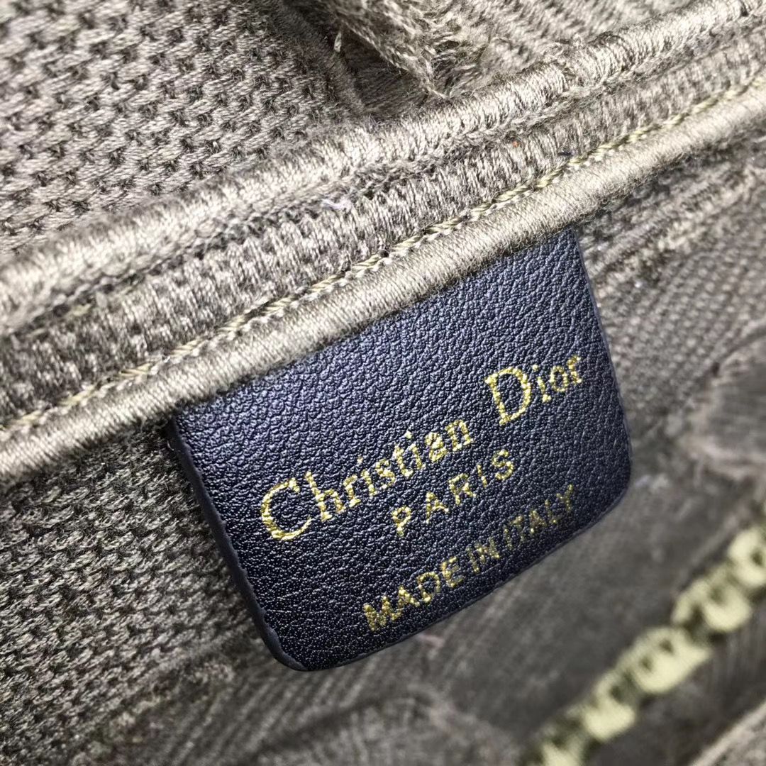 Dior Saddle Bag 25,5 cm