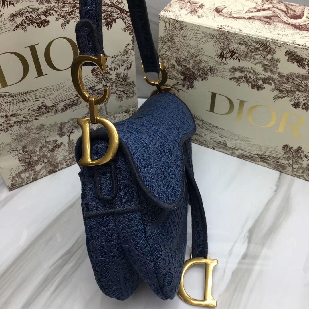 Dior Saddle Bag 25,5 cm