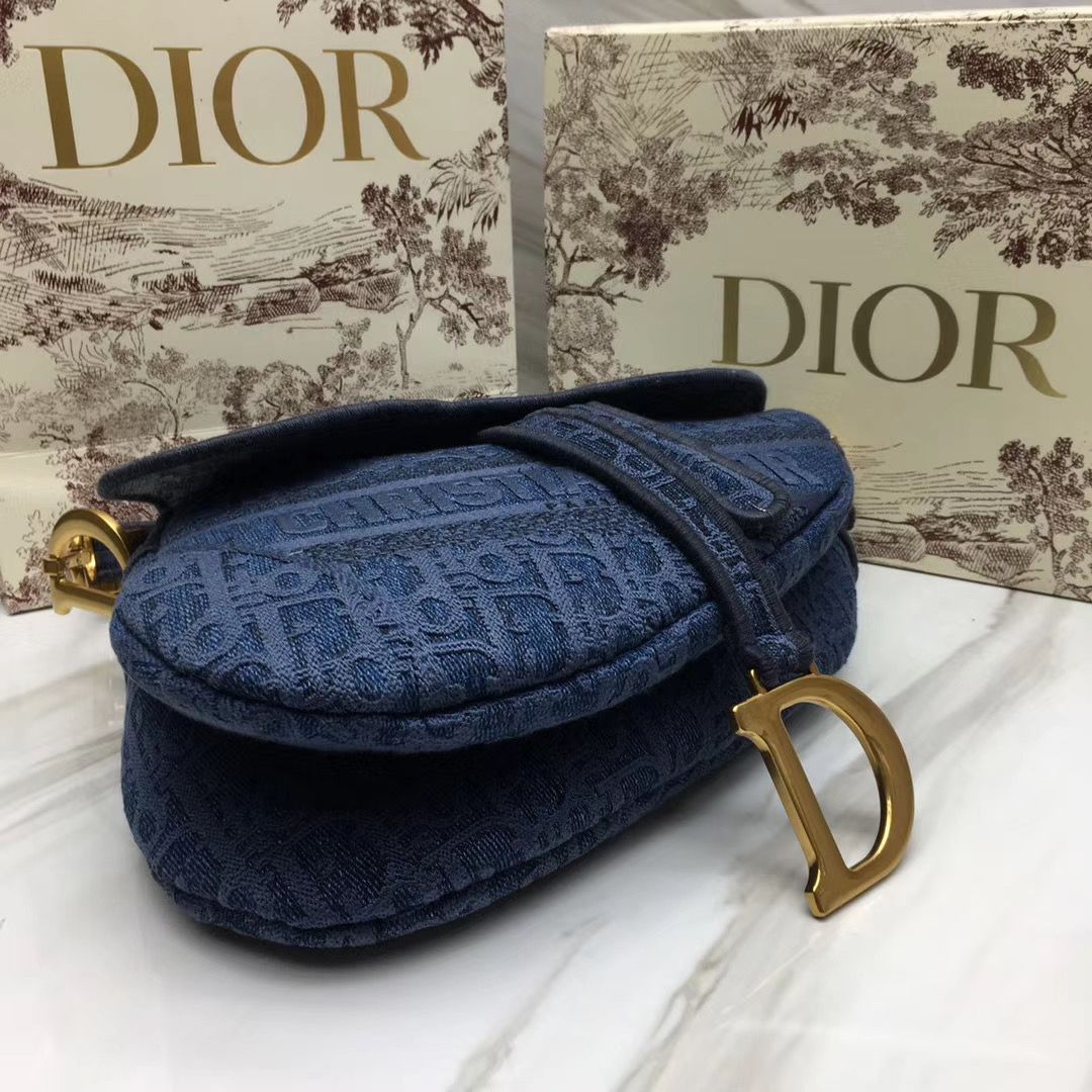 Dior Saddle Bag 25,5 cm