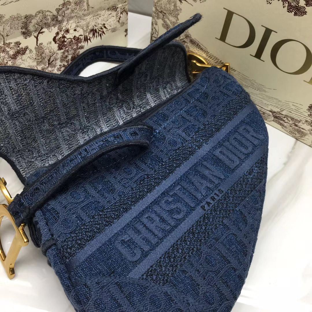 Dior Saddle Bag 25,5 cm