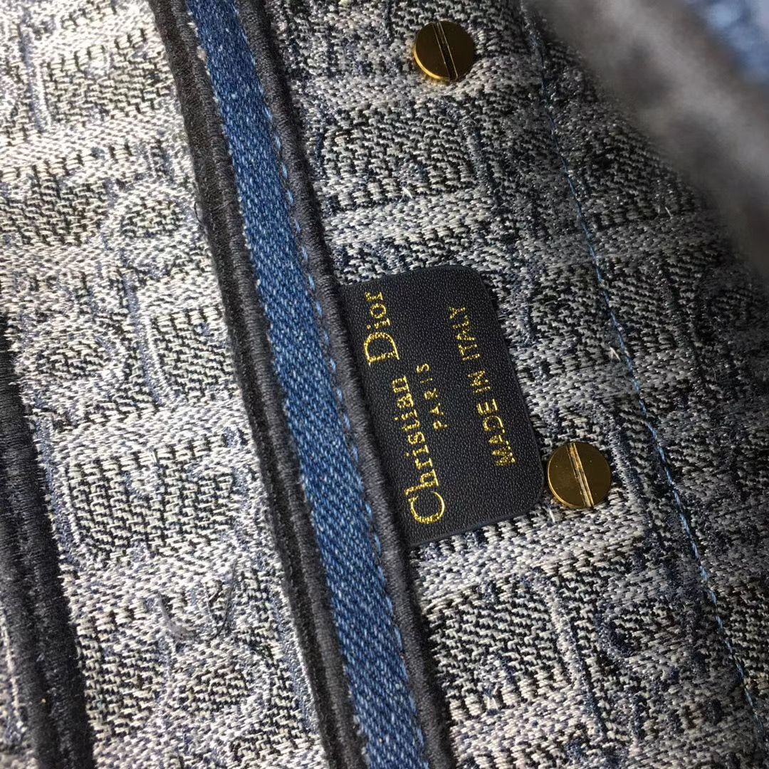 Dior Saddle Bag 25,5 cm