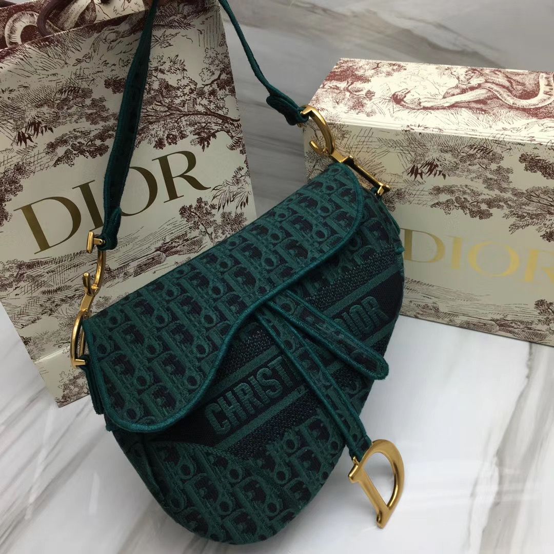 Dior Saddle Bag 25,5 cm