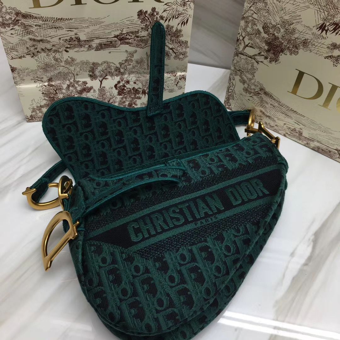 Dior Saddle Bag 25,5 cm