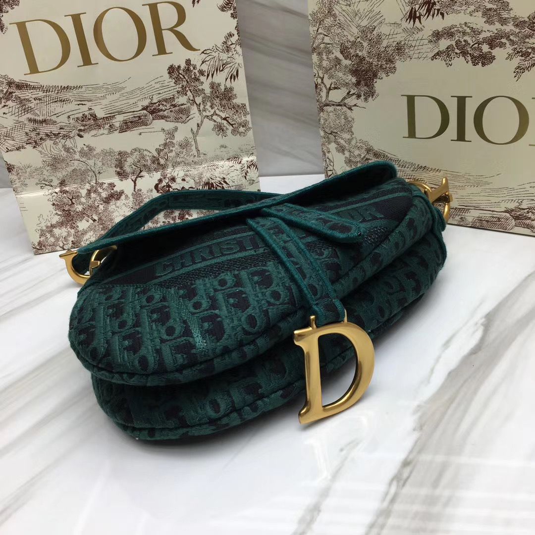 Dior Saddle Bag 25,5 cm