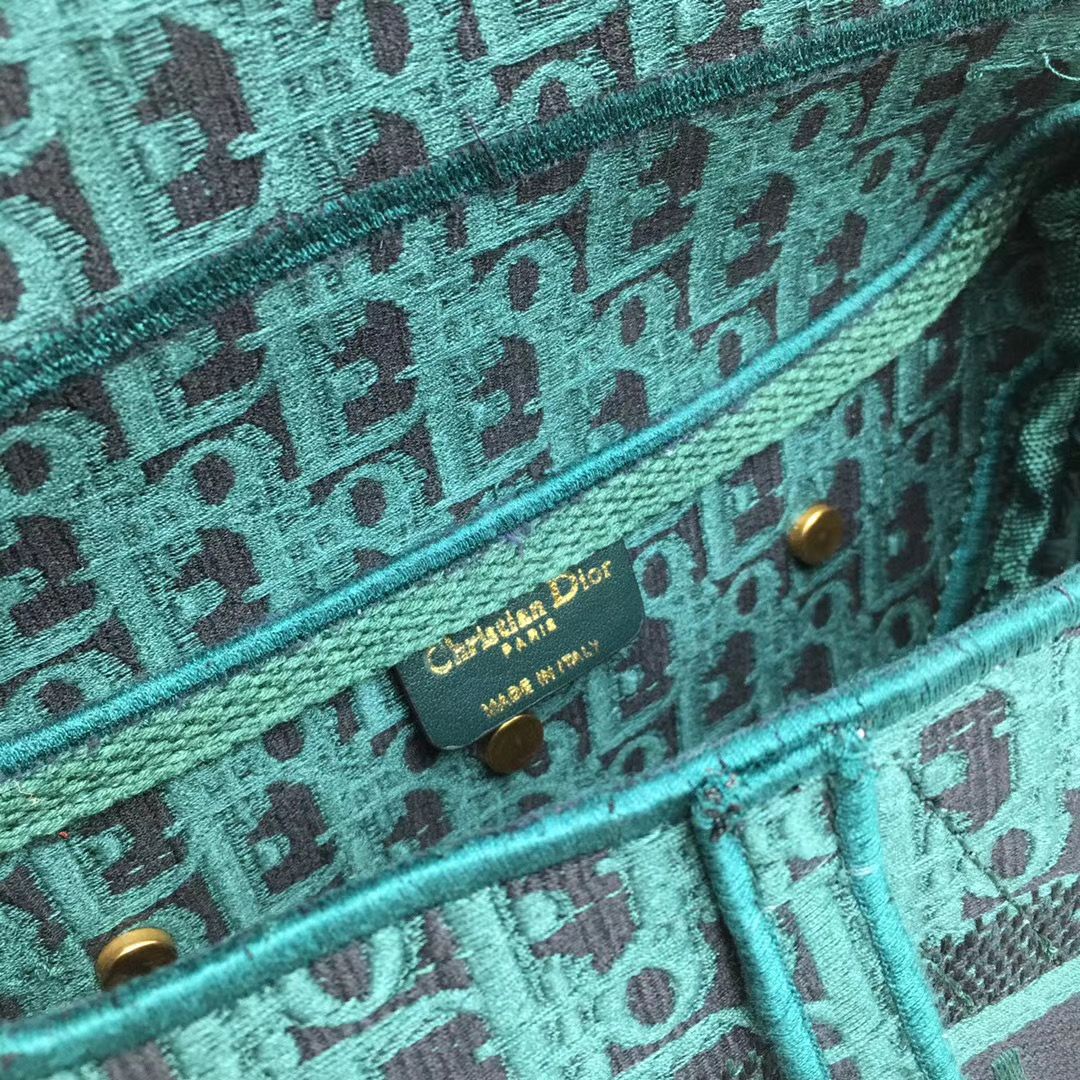 Dior Saddle Bag 25,5 cm