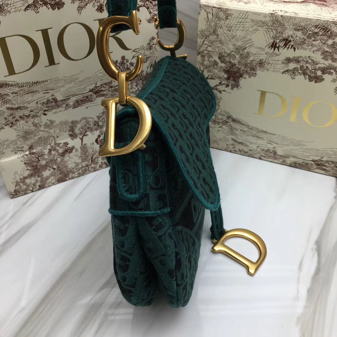 Dior Saddle Bag 25,5 cm