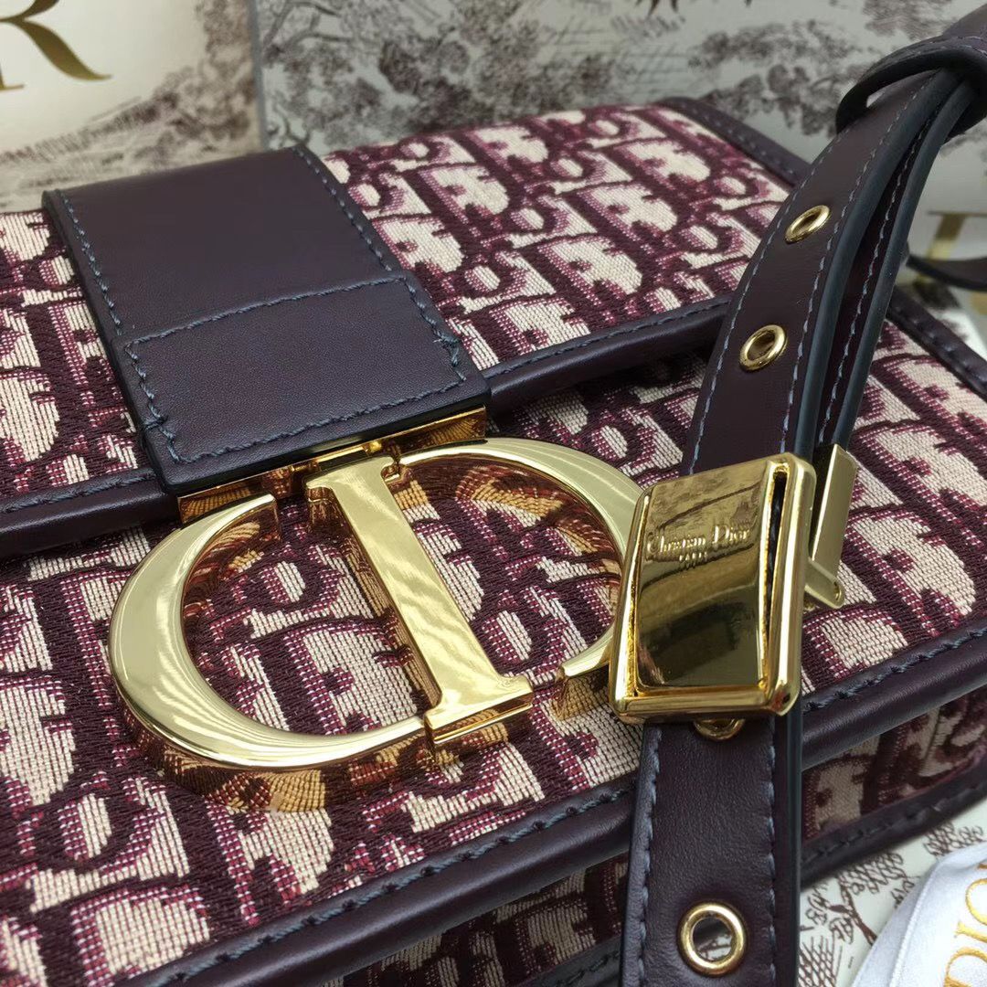 Dior Montaigne30 24 cm