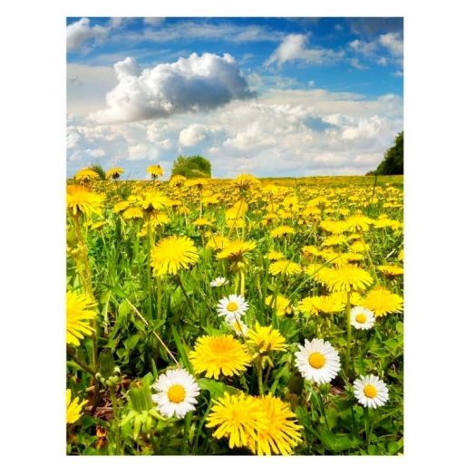 Гибкий настенный обогреватель Доброе тепло, Поле