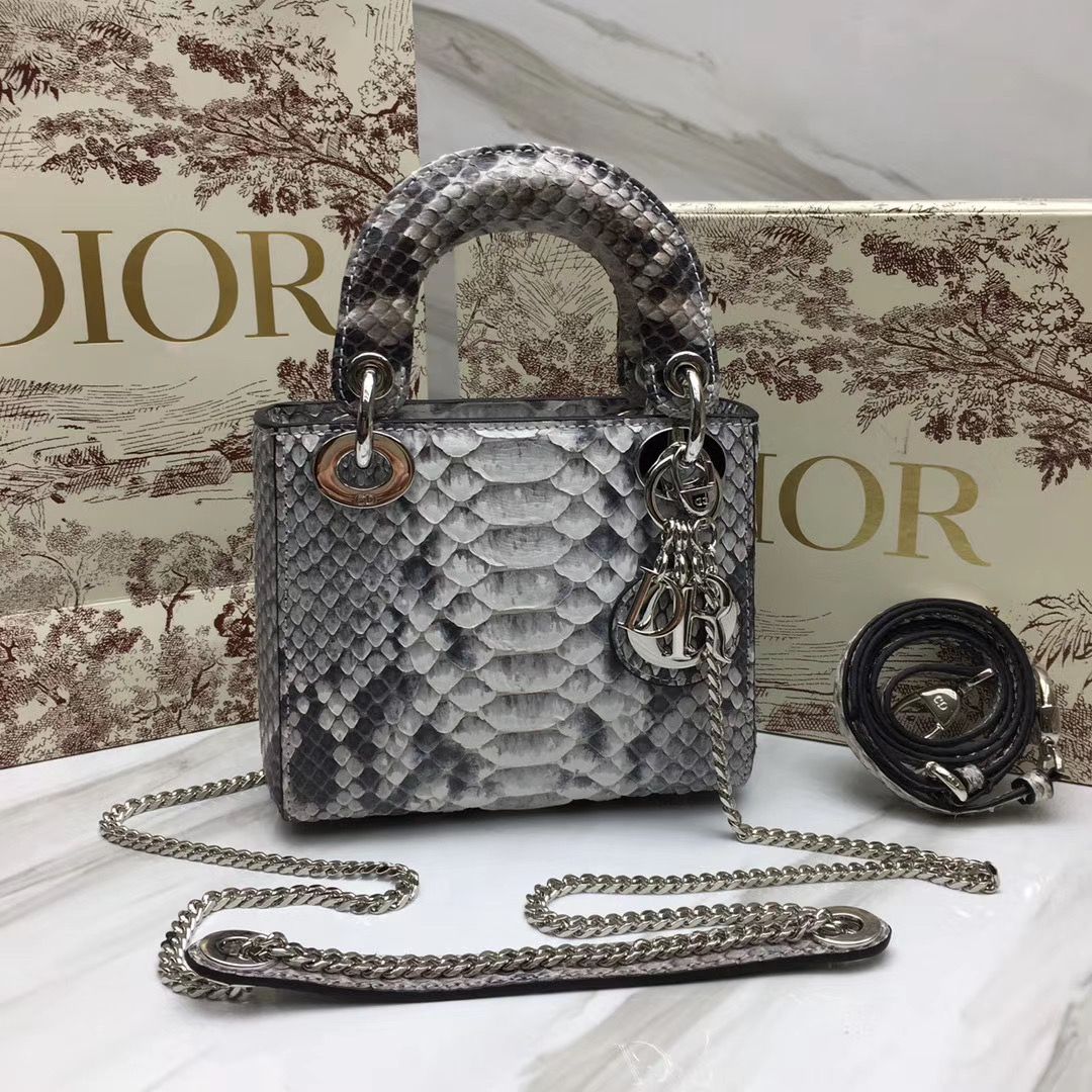 Lady Dior 17 cm