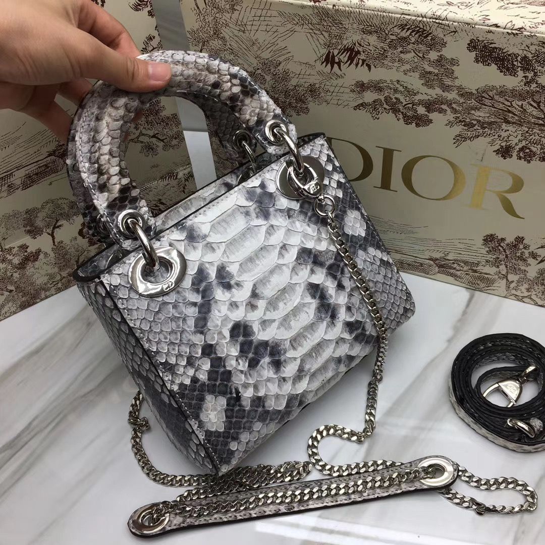 Lady Dior 17 cm
