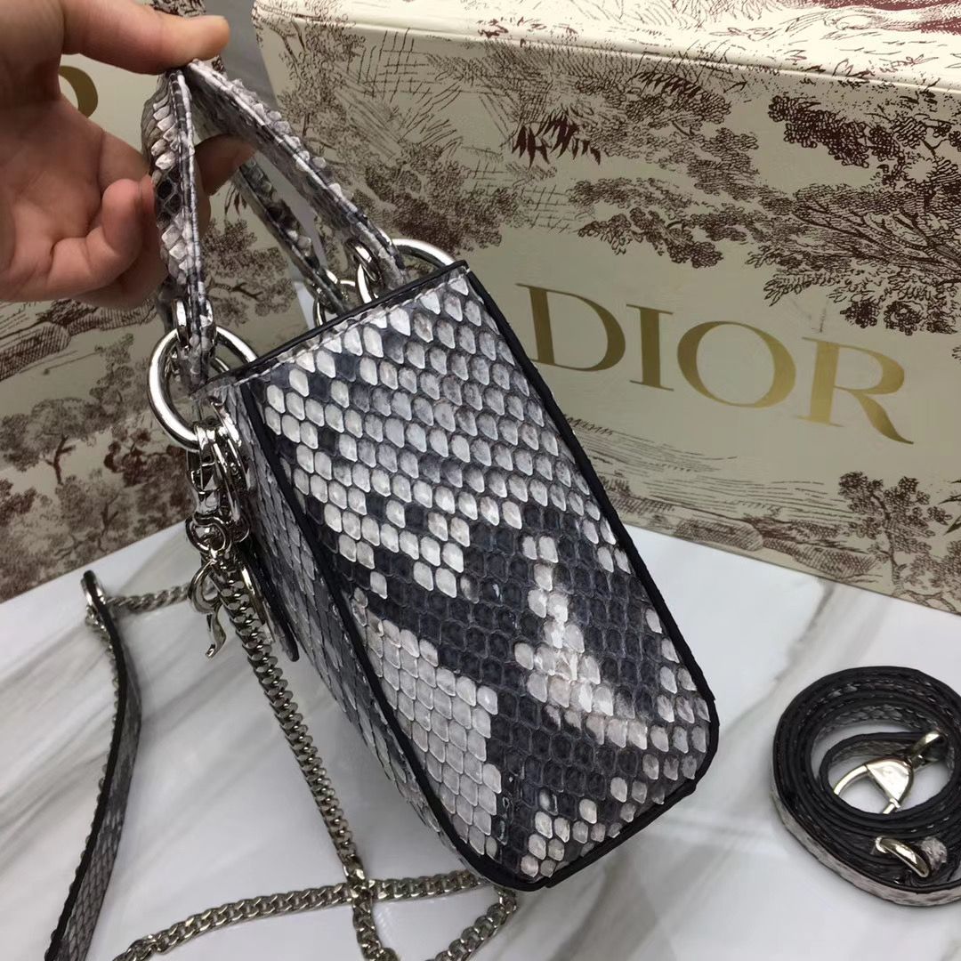 Lady Dior 17 cm