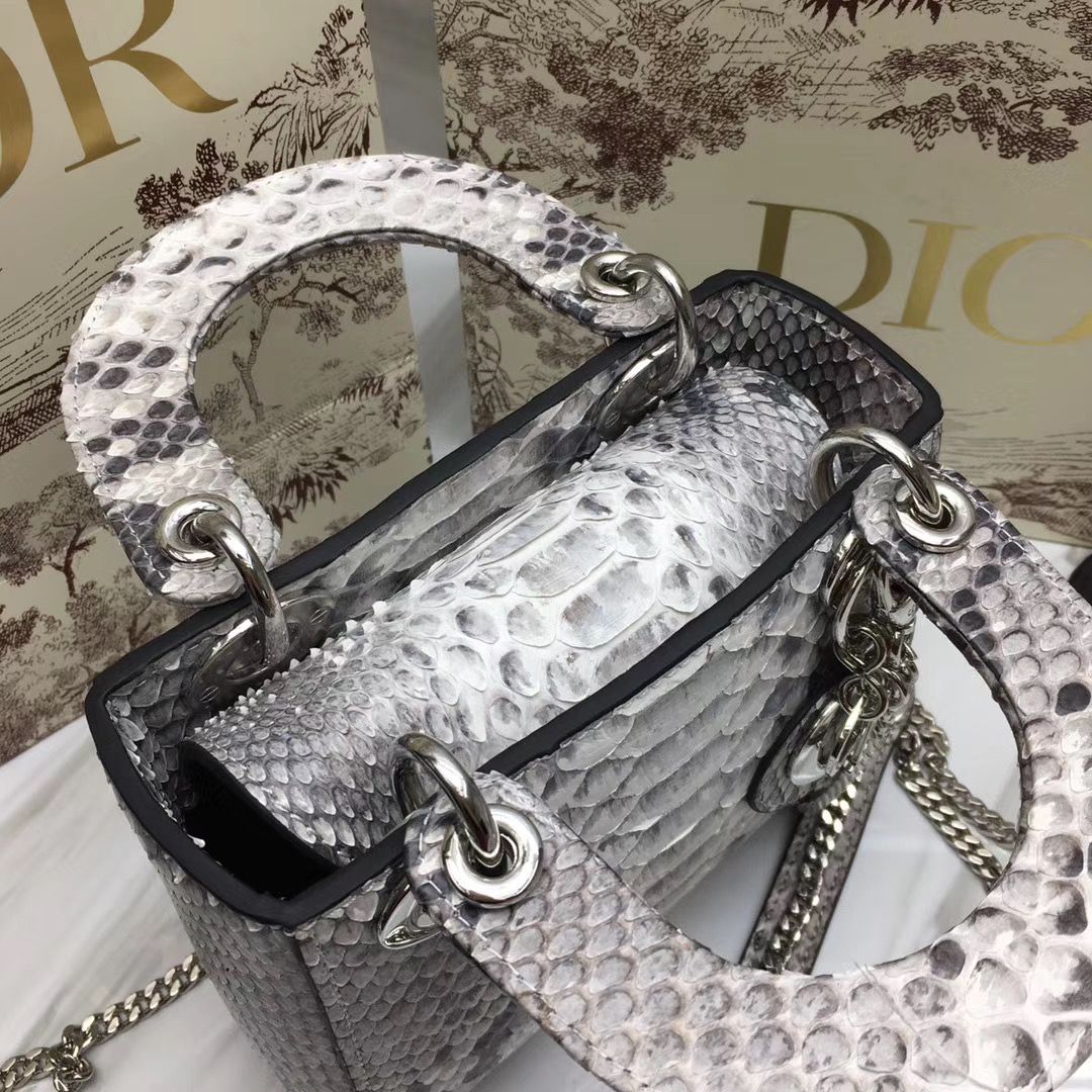 Lady Dior 17 cm