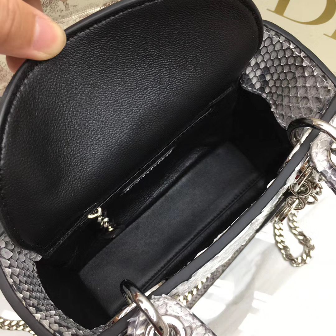 Lady Dior 17 cm