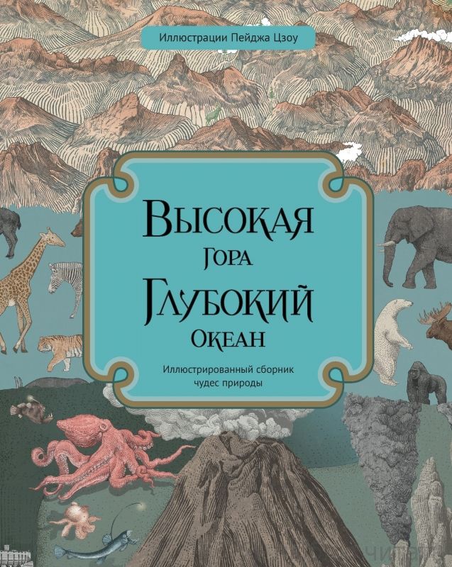 Высокая гора. Глубокий океан