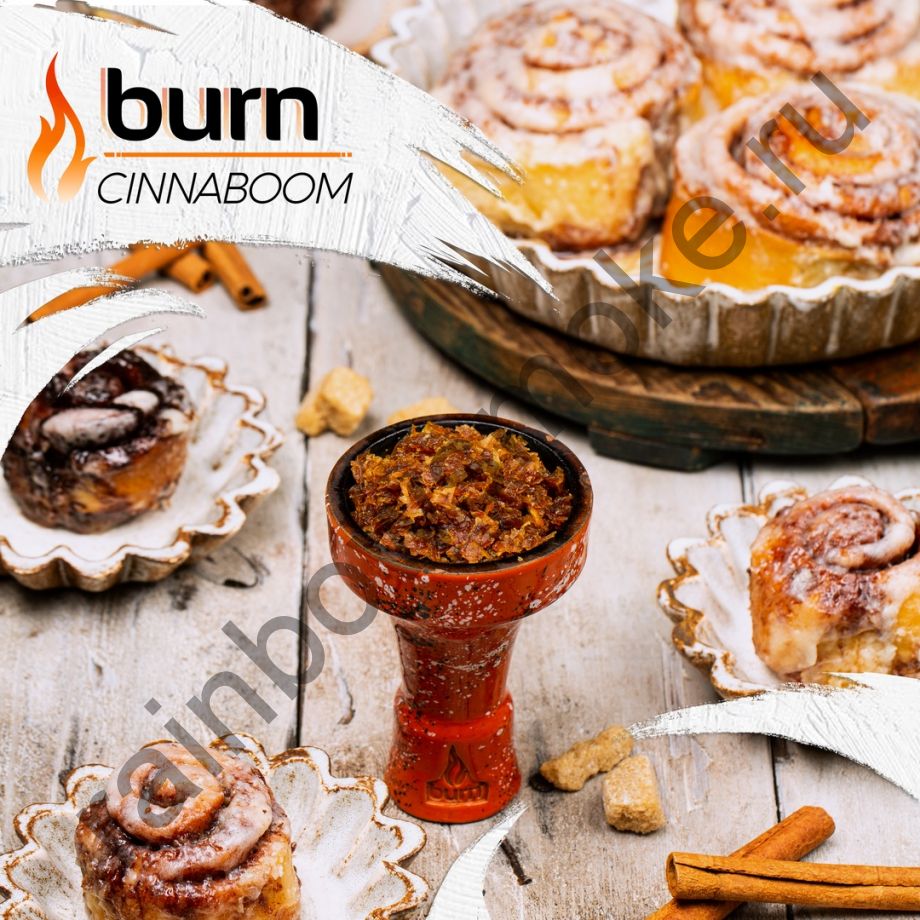 Burn 100 гр - Cinnaboom (Синнабум)