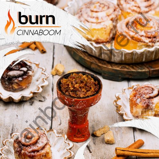 Burn 100 гр - Cinnaboom (Синнабум)