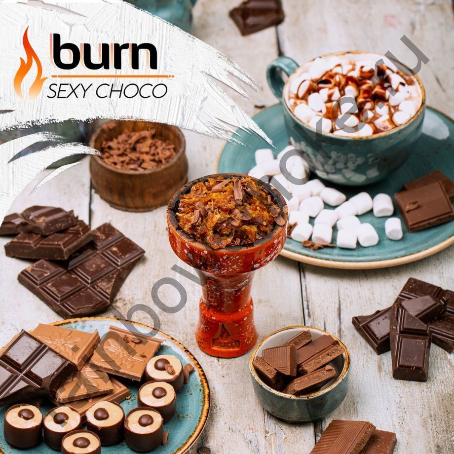 Burn 100 гр - Sexy Choco (Секси Шоко)