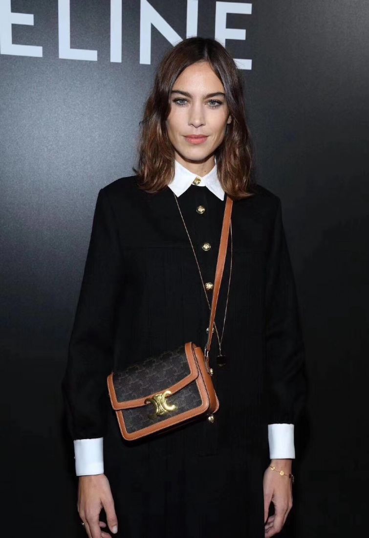 Celine Triomphe Canvas 18,5 cm