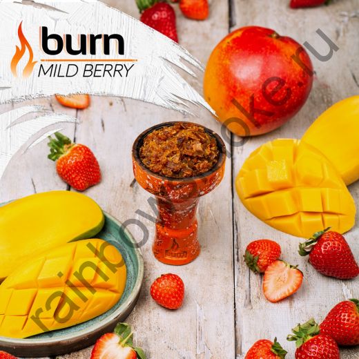 Burn 25 гр - Mild Berry (Милд Бэрри)