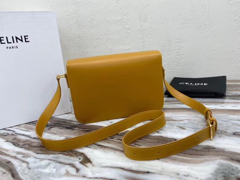 Celine Triomphe 22 cm