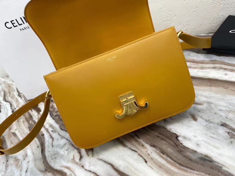 Celine Triomphe 22 cm