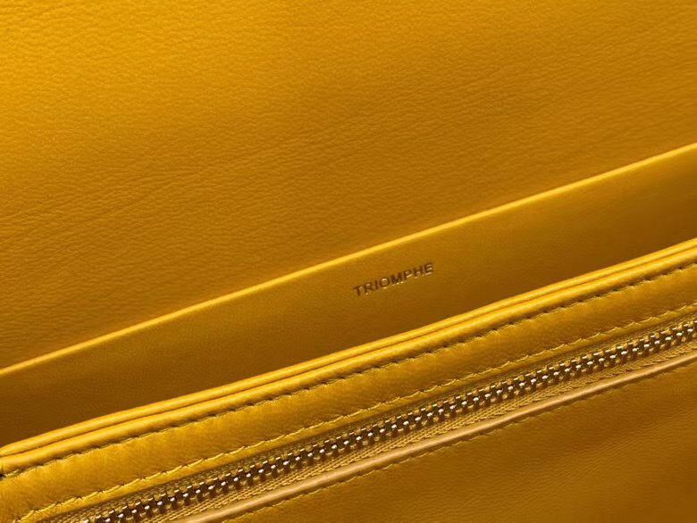 Celine Triomphe 22 cm