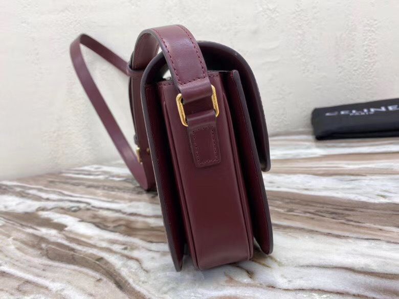 Celine Triomphe 22 cm