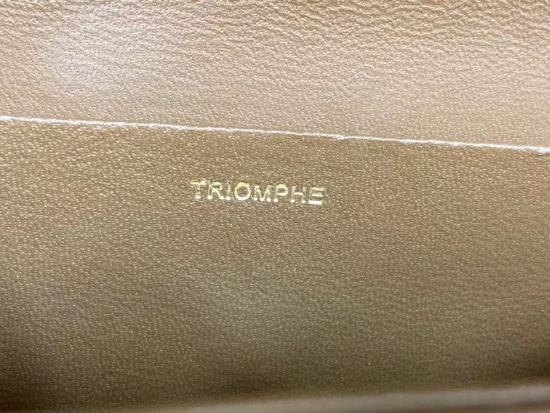 Celine Triomphe 22 cm